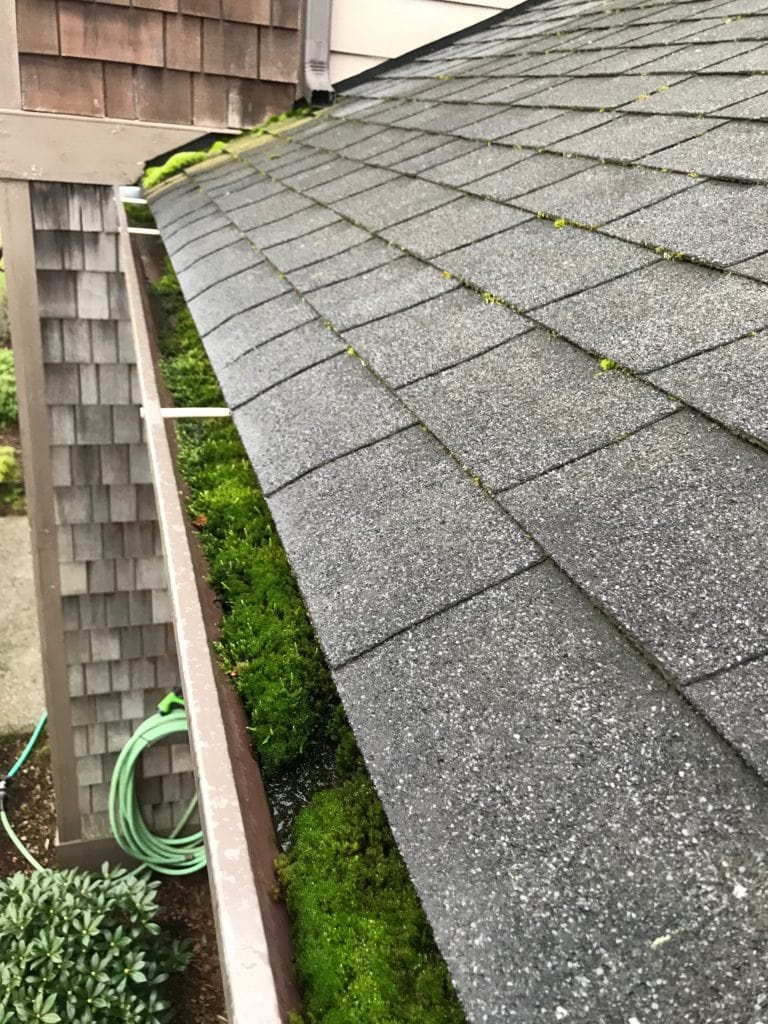a roof with plants growing out of it