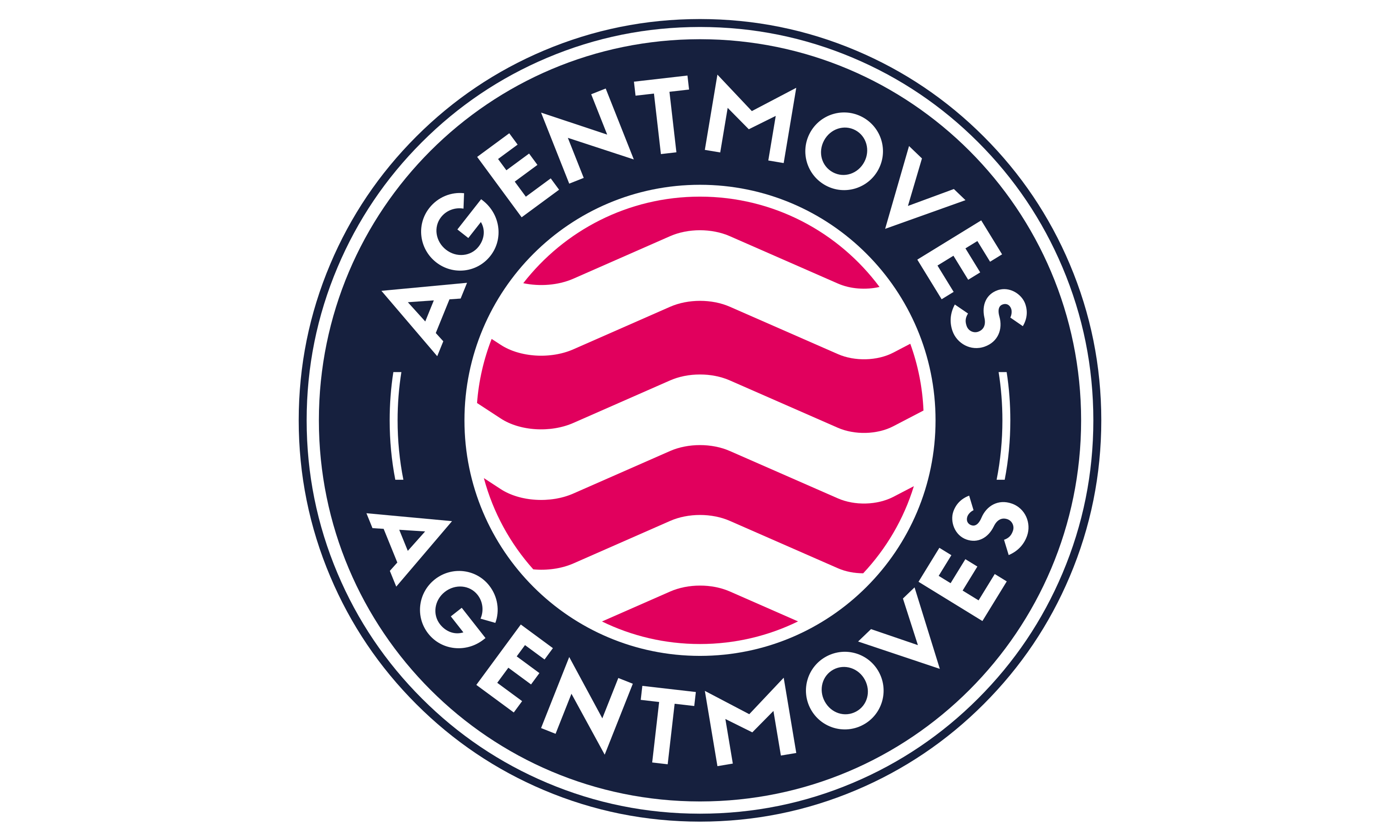 AgentMoves
