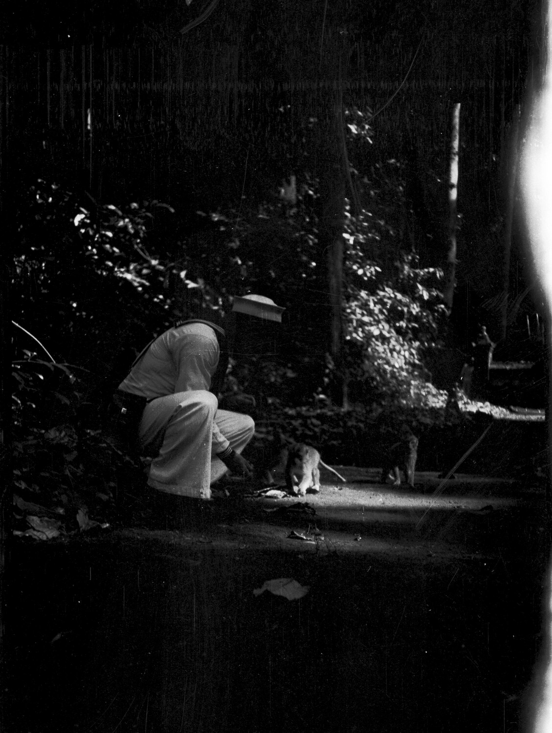 Sailor Crouching with Small Animals in Wooded Garden, 1930s Asiatic Station