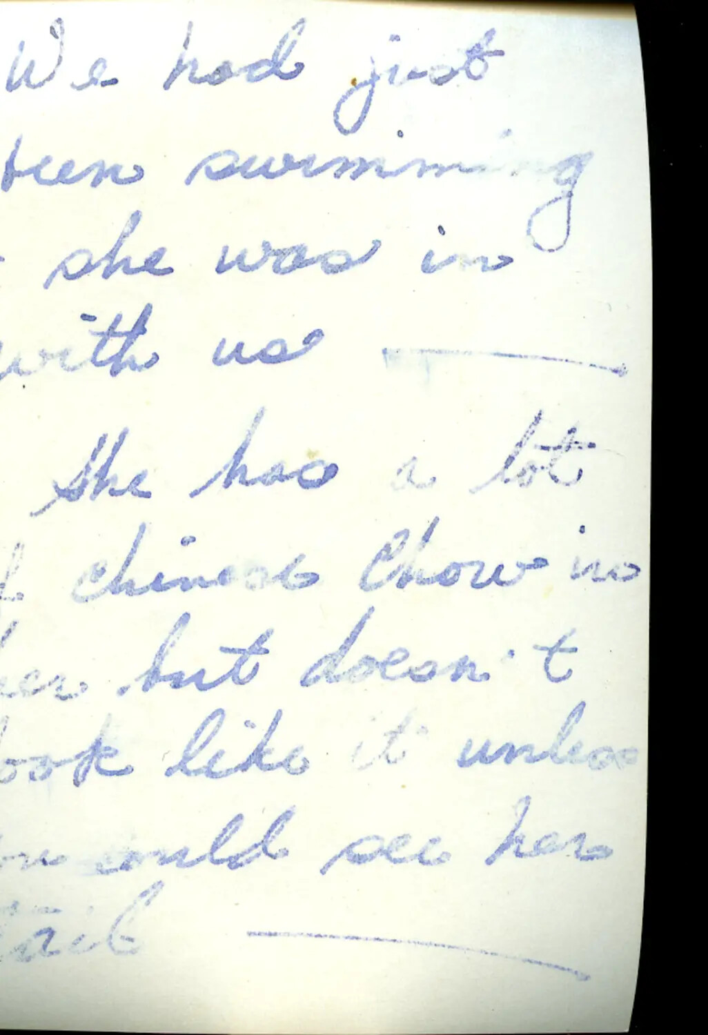 Handwritten Letter Fragment Describing a Chow Dog - WWII China Burma Theater Archive