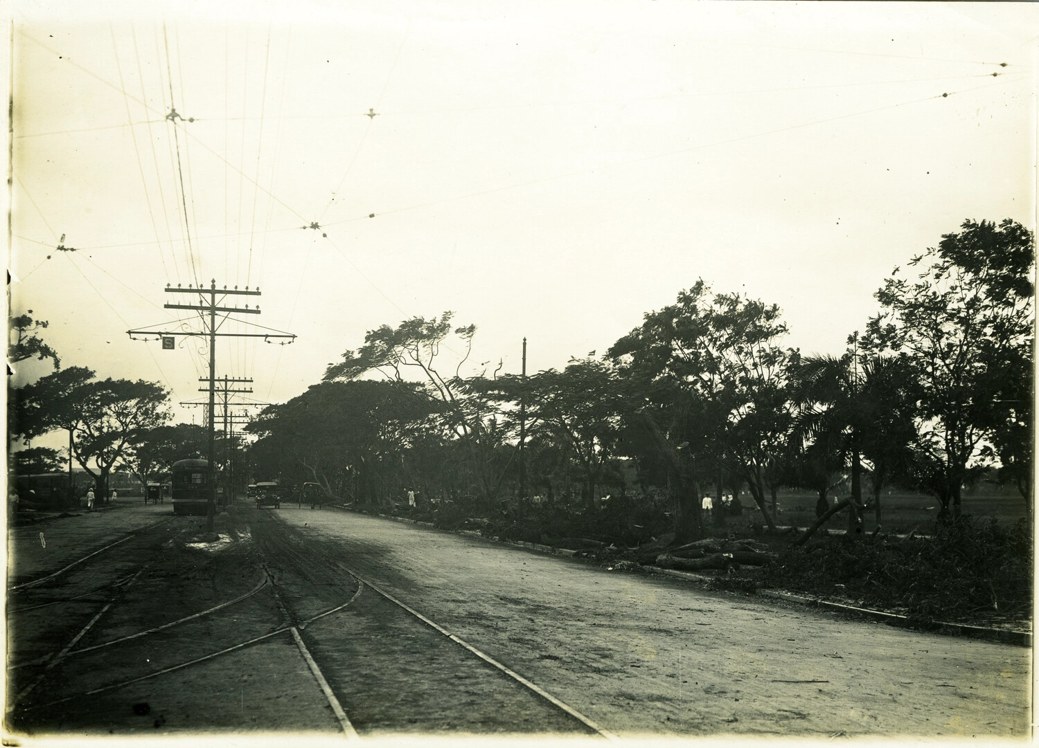 Typhoon-Damaged Boulevard with Tramway, Philippines, Early 1900s