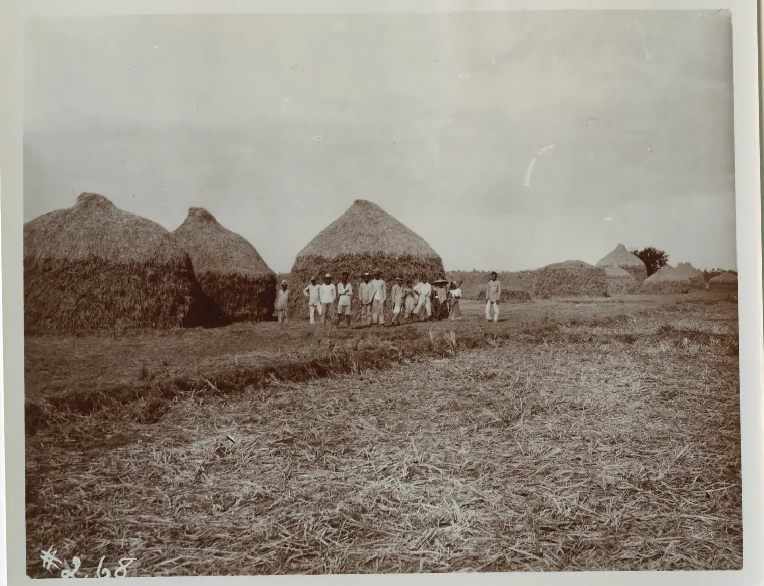 Filipino Farm Laborers Beside Rice-Straw Stacks, Rural Philippines, c. 1898-1910