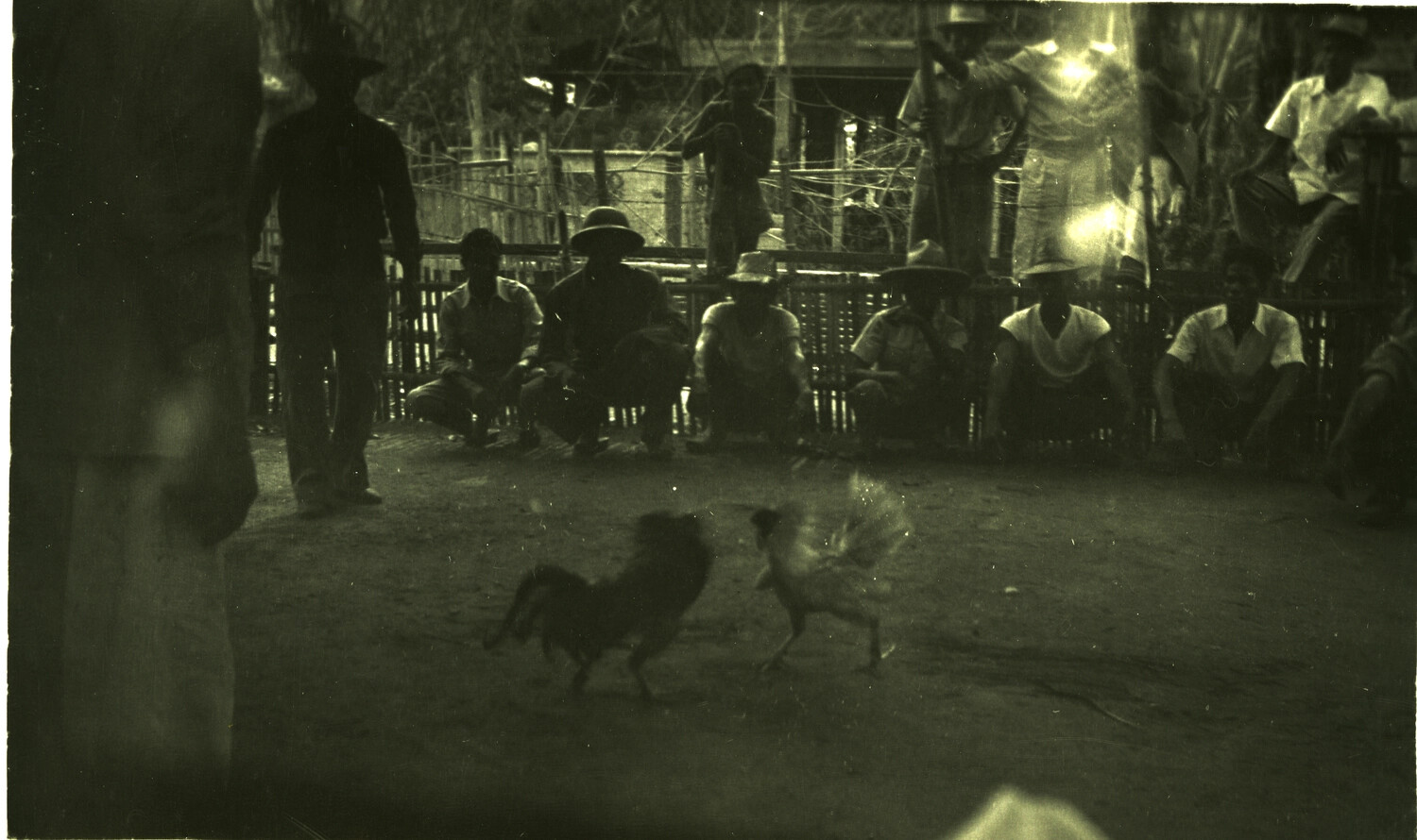 Cockfight Spectators at Local Arena, Pacific Theater, WWII