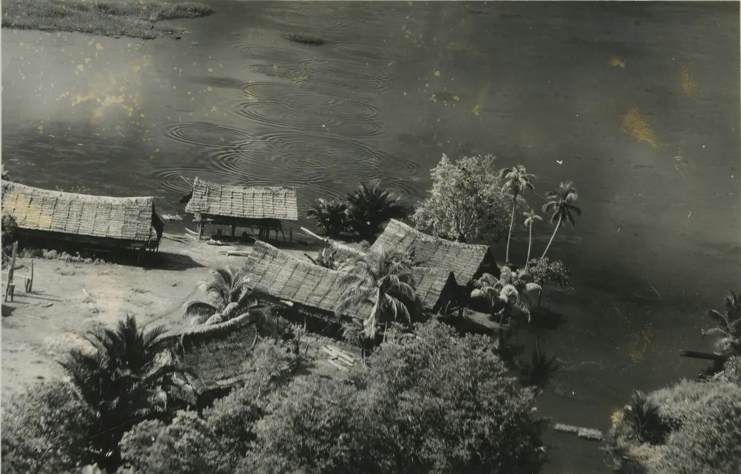 Aerial View of Riverside Stilt Structures Amid Palms, Southwest Pacific Area, World War II Era