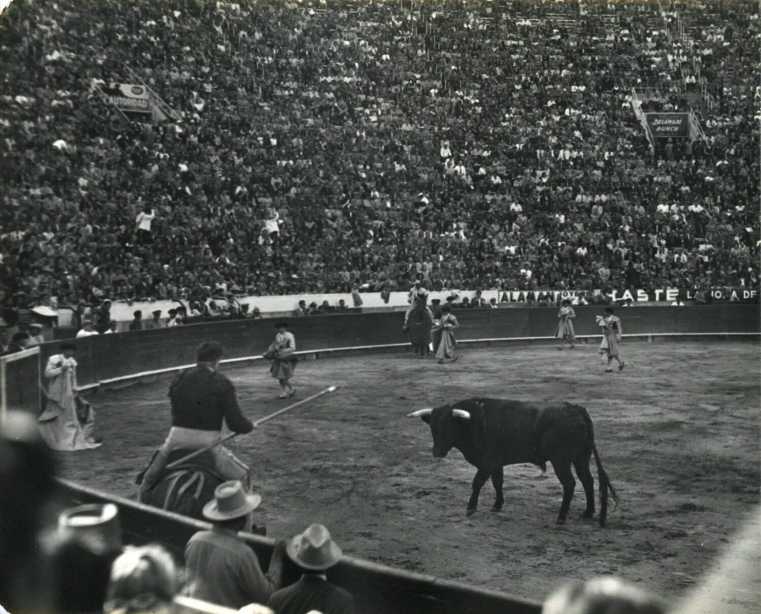 Bullfight in a Packed Mexican Arena, 1949