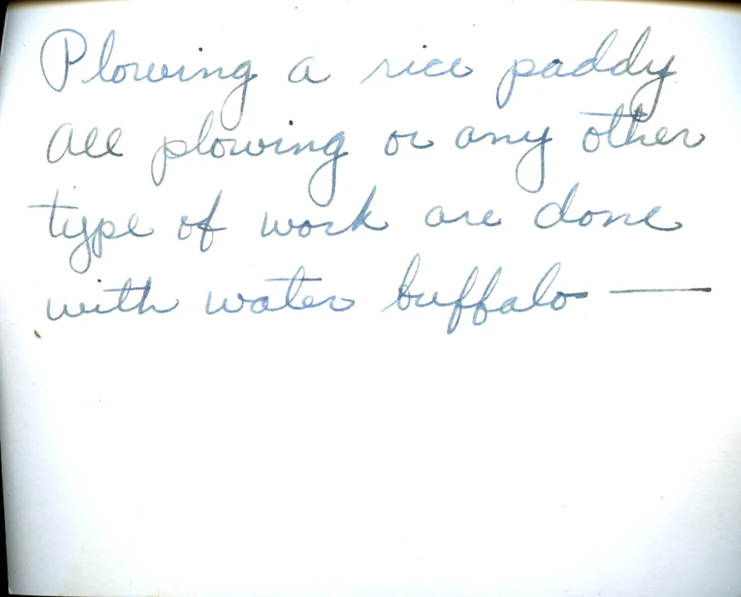 Handwritten Caption Card, 'Plowing a Rice Paddy' - CBI Theater Photo Archive