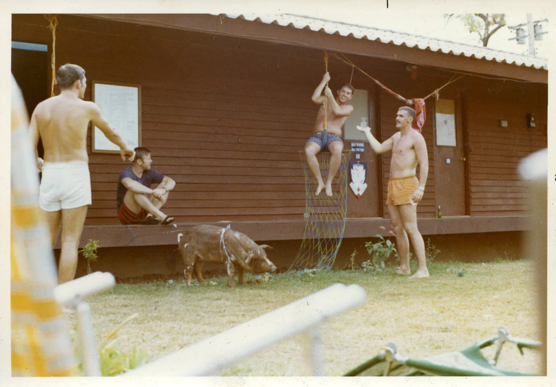 Off-Duty Airmen and Squadron Mascot Pig Outside Barracks, Likely Nakhon Phanom RTAFB, Vietnam War Era