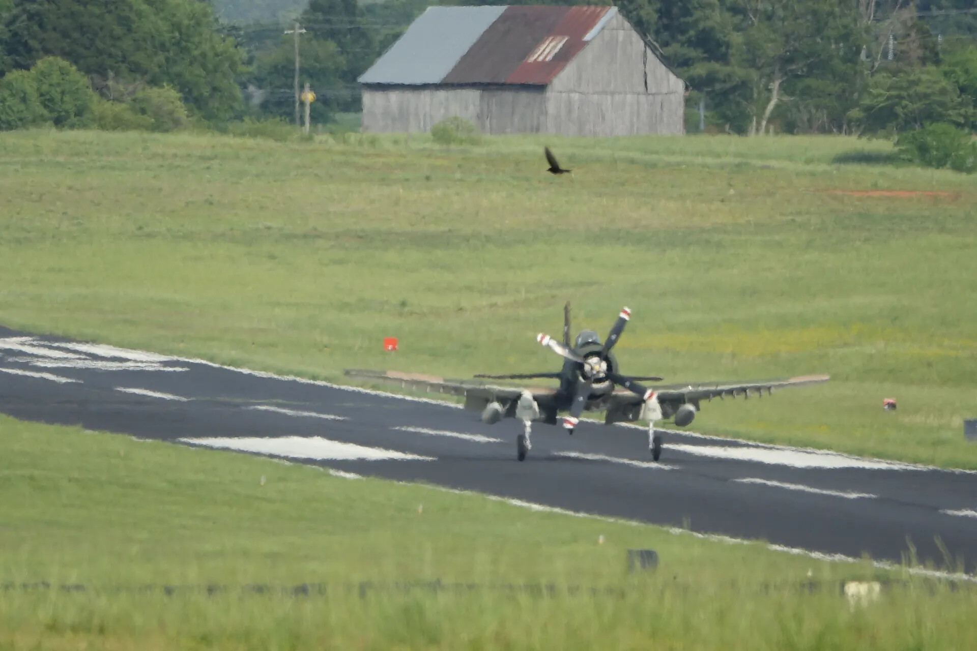 Restored A-1 Skyraider on Landing Approach at Warbird Fly-In Event, 3-4 May 2019