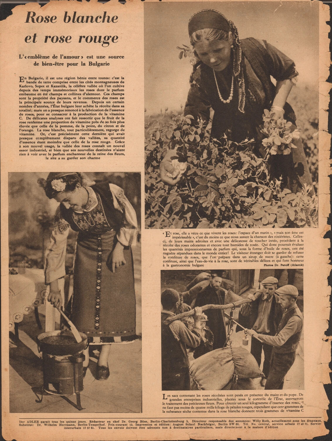 Der Adler (French Edition) Interior Page: 'Rose Blanche et Rose Rouge' - Bulgarian Rose Harvest Feature, WWII