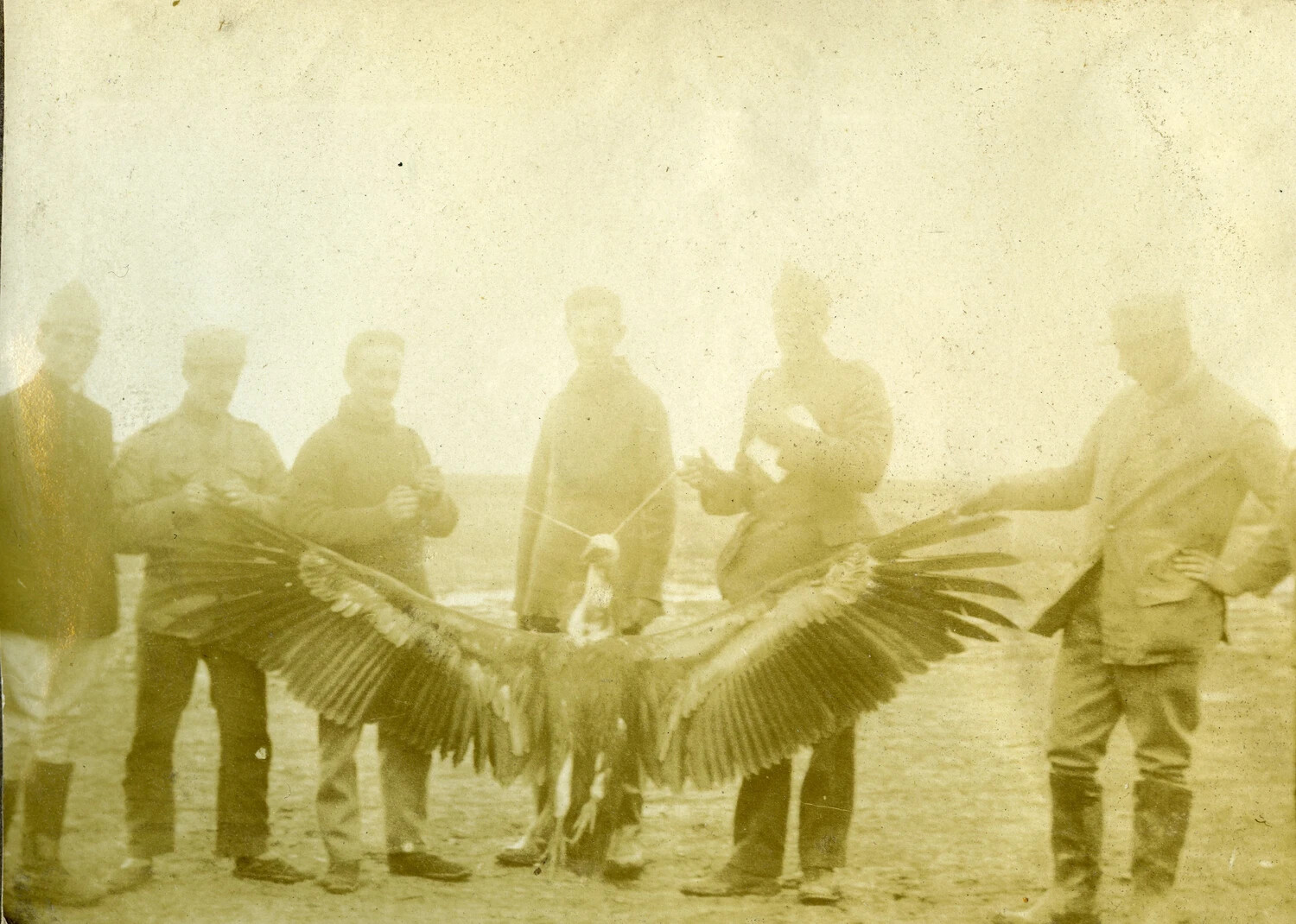 French Servicemen Displaying a Large Bird of Prey, World War I Album Snapshot