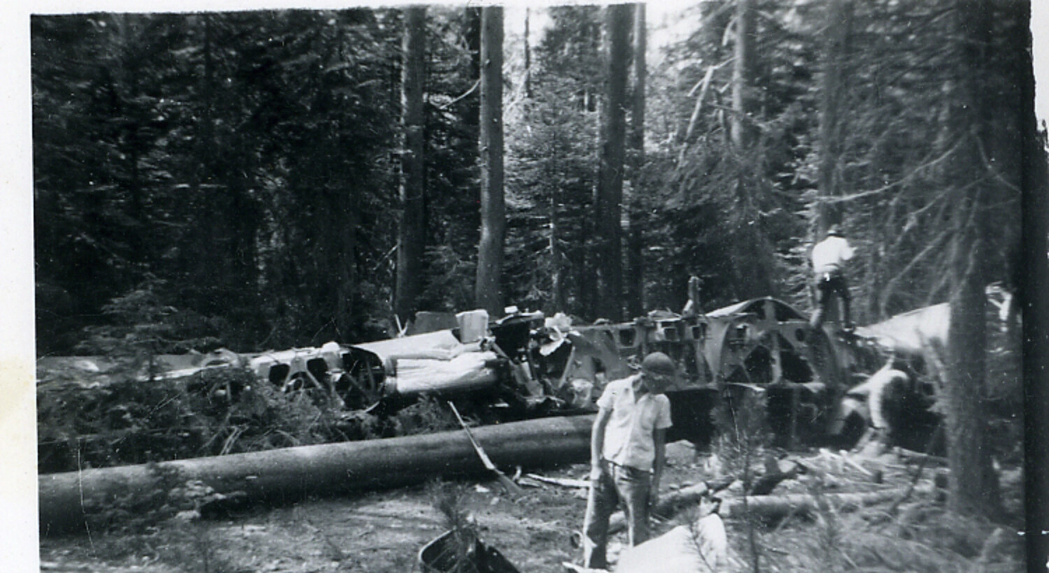 Wreckage of Boeing B-17 Flying Fortress in Forest Crash Site