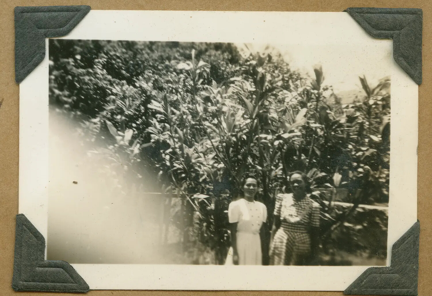 Two Women in Garden Setting, Hawaii, WWII Era (Enlarged View)