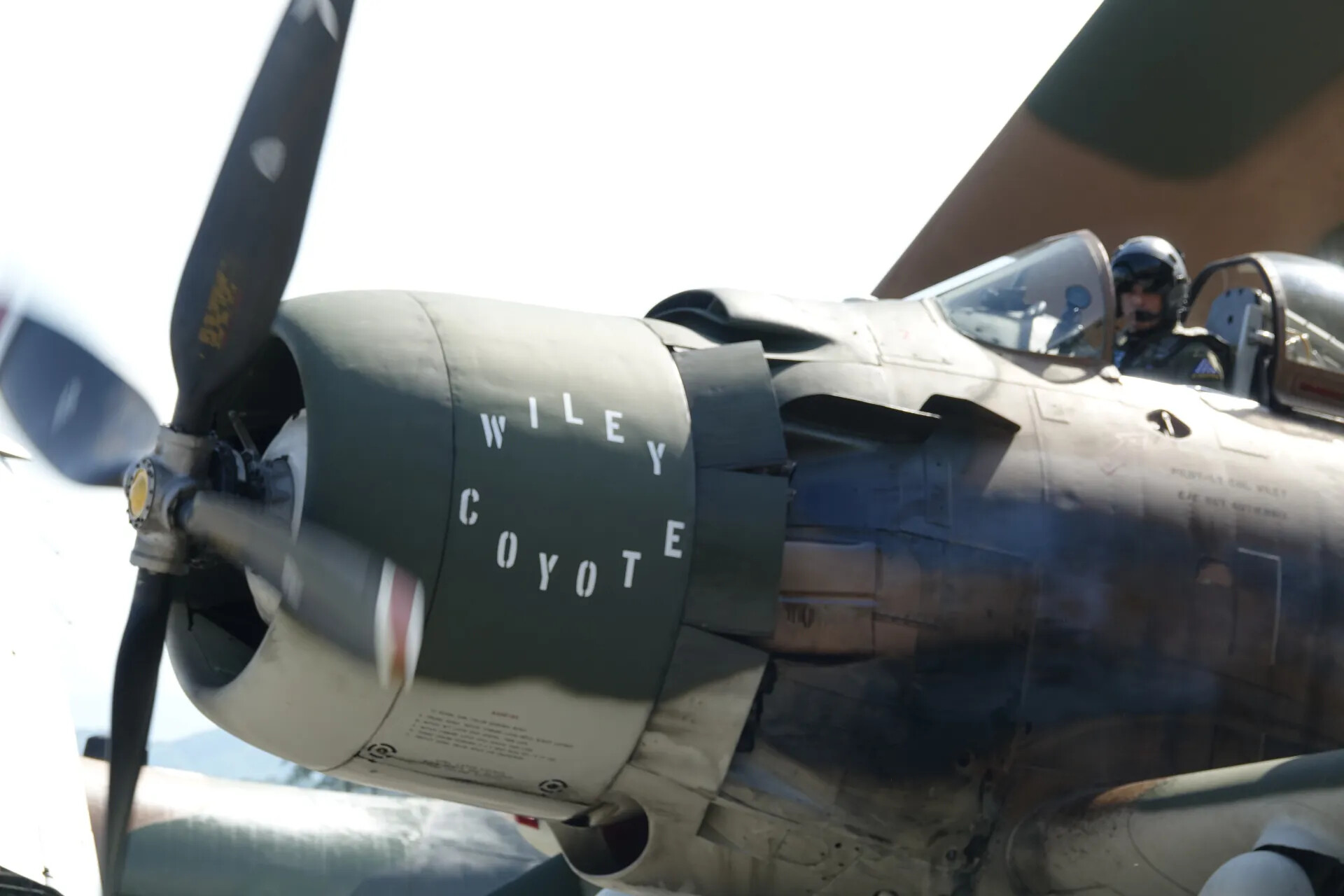 A-1 Skyraider 'Wiley Coyote' Nose Art and Cockpit Detail