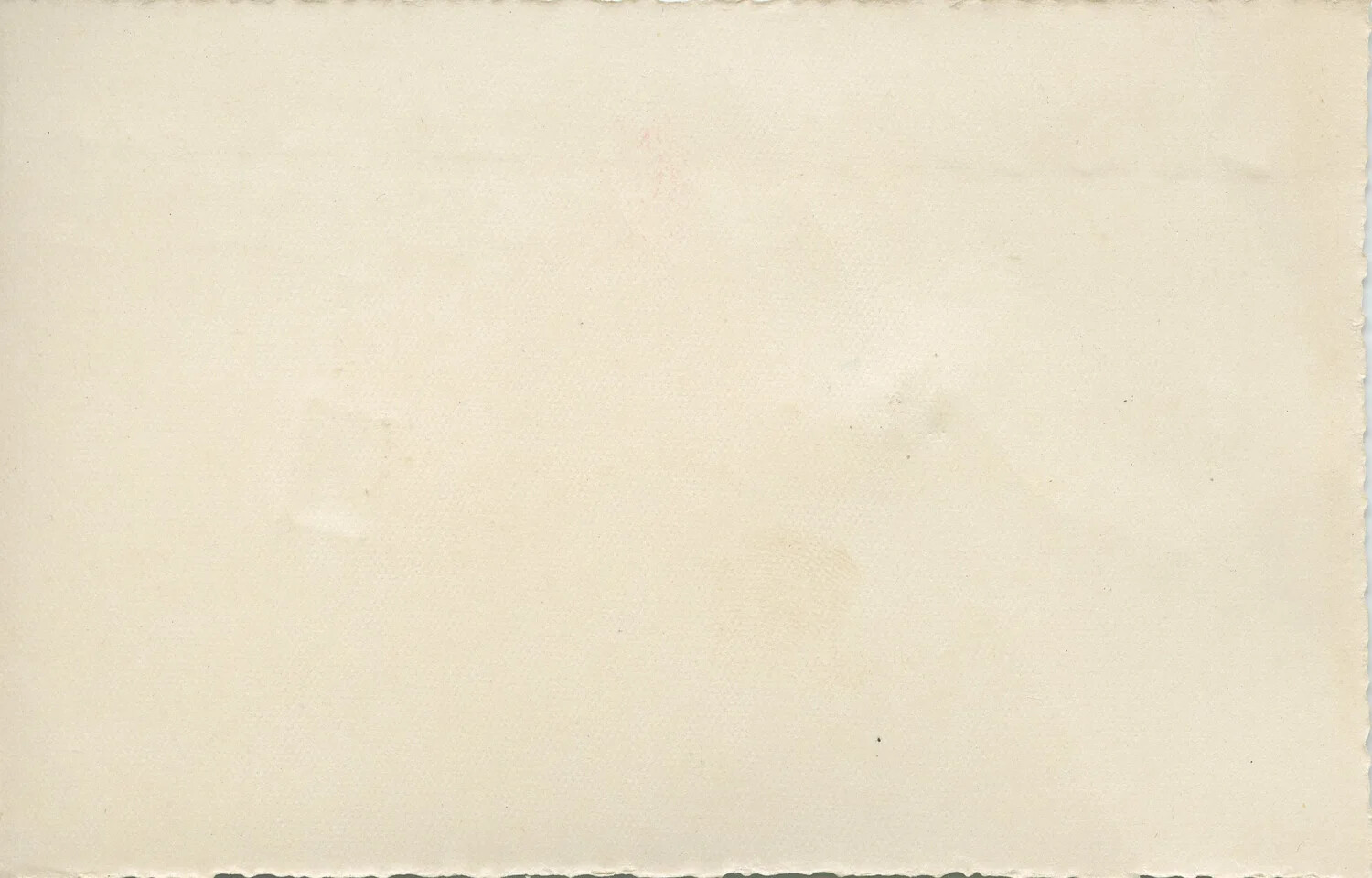 Blank Reverse of an Unused World War I-Era Postcard