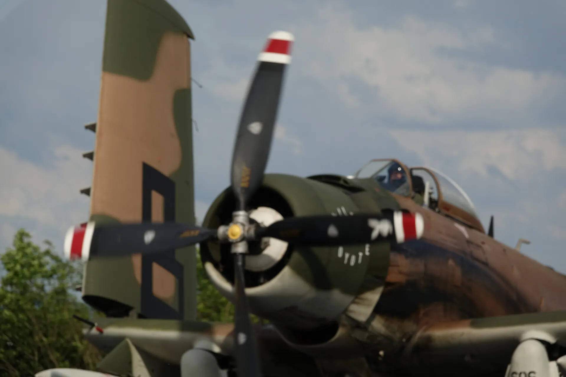 Close-Up of Restored A-1 Skyraider Propeller and Tail, Airshow Event