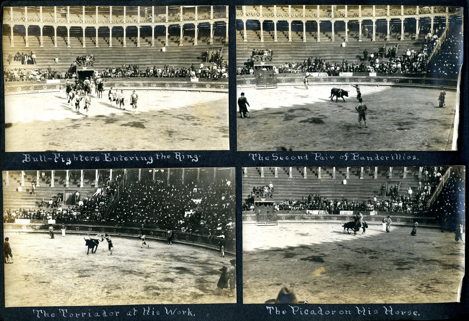 Album Page 319 — Four Bullfight Photographs with Handwritten Captions, USS Columbia Album, c. 1898-1910s