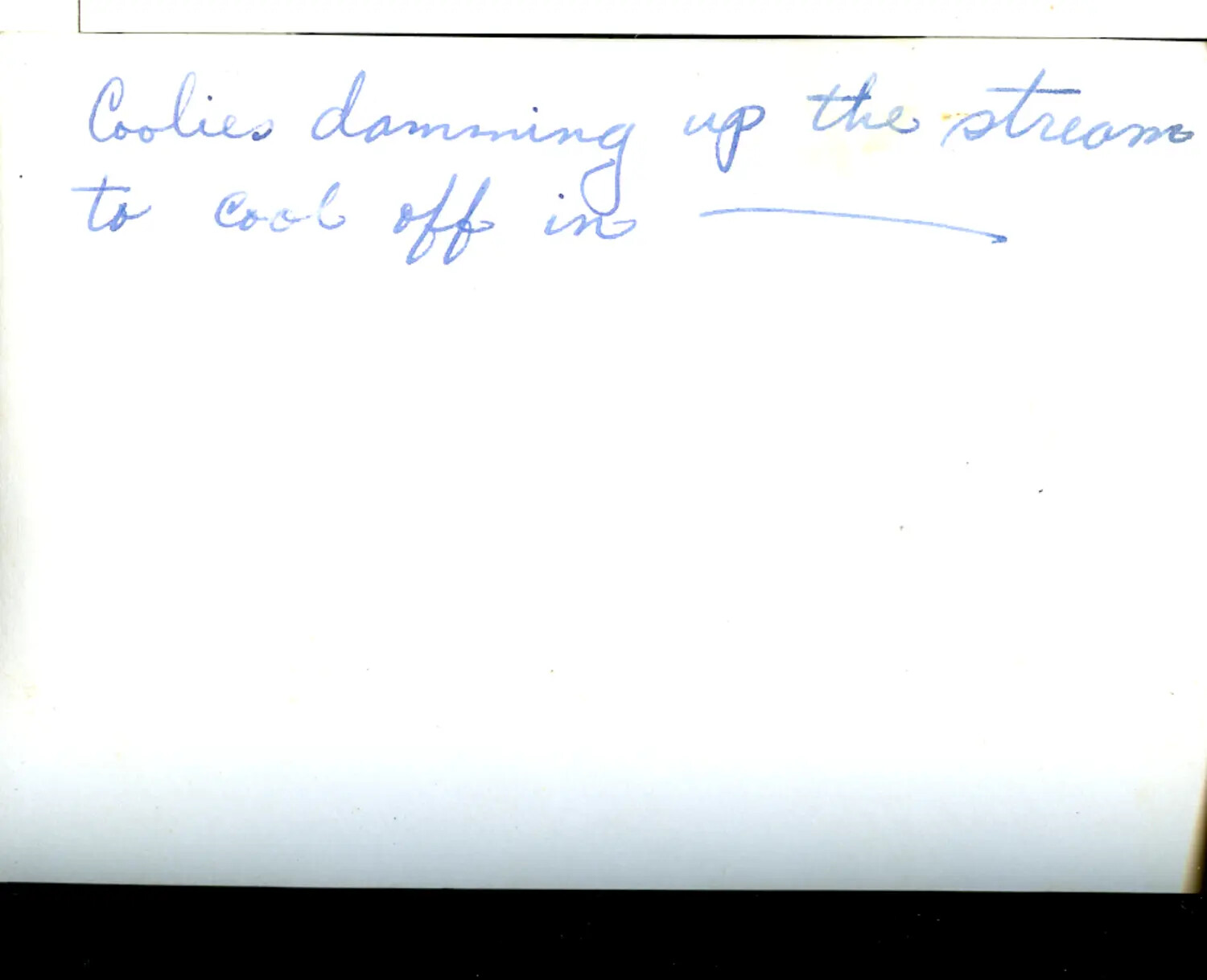 Handwritten Album Caption: "Coolies Damming Up the Stream to Cool Off In" -- CBI Theater Archive, WWII