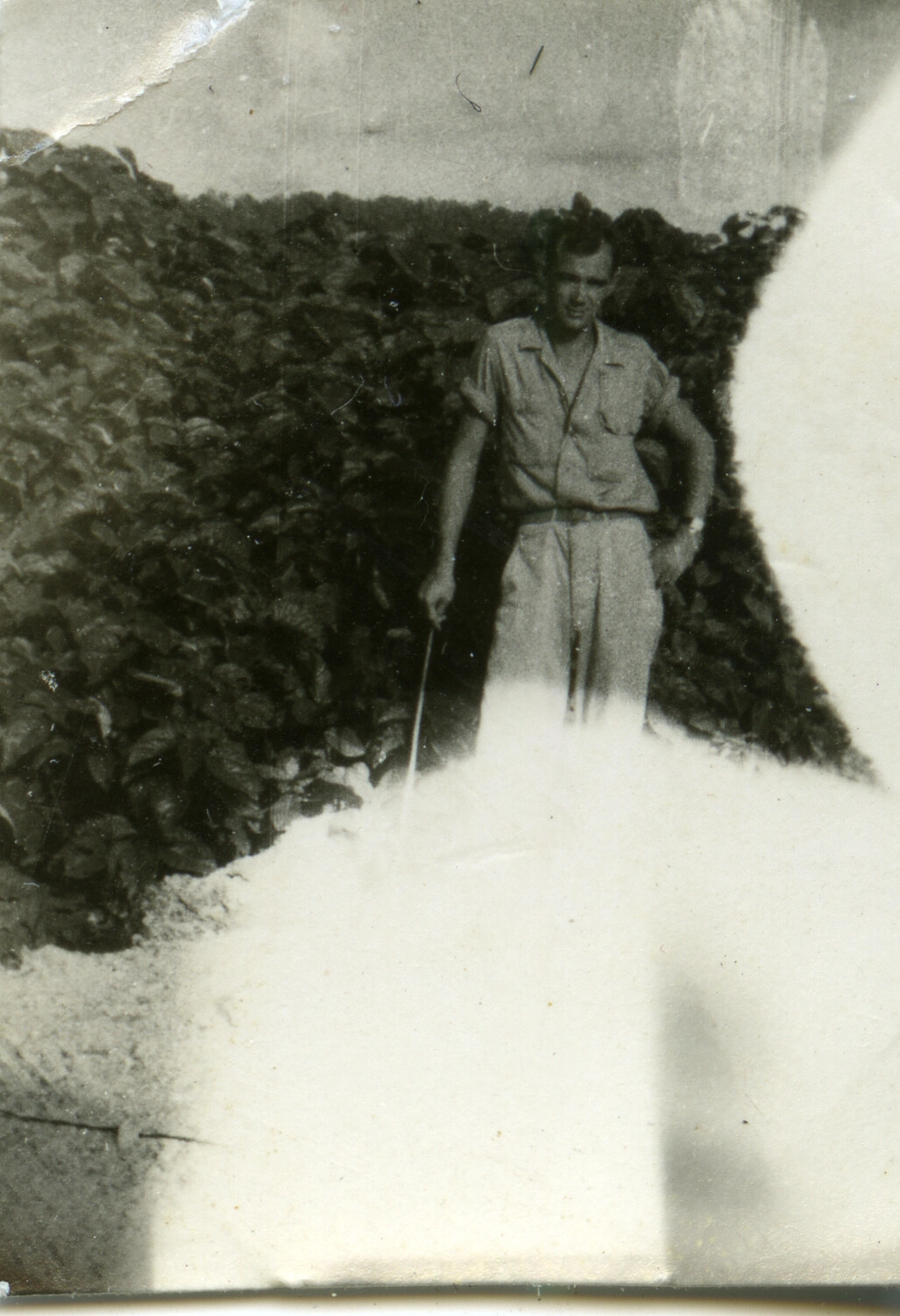 Serviceman Beside Dense Foliage with Overexposure Artifact, Pacific Theater, WWII Era