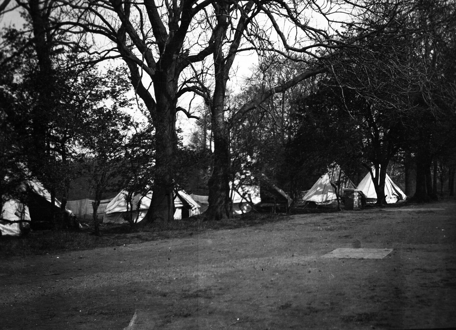 WWI Military Tent Encampment in Wooded Area, France