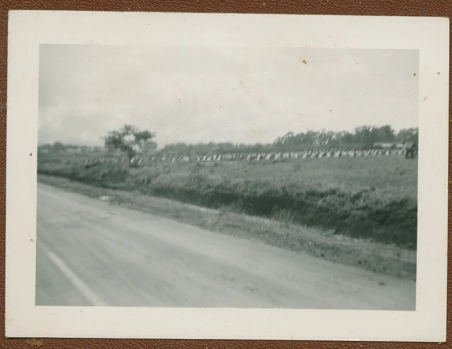 Roadside View of Military Encampment, Oahu, Hawaii, World War II Era