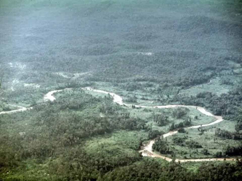 Aerial View of Jungle River, South Vietnam