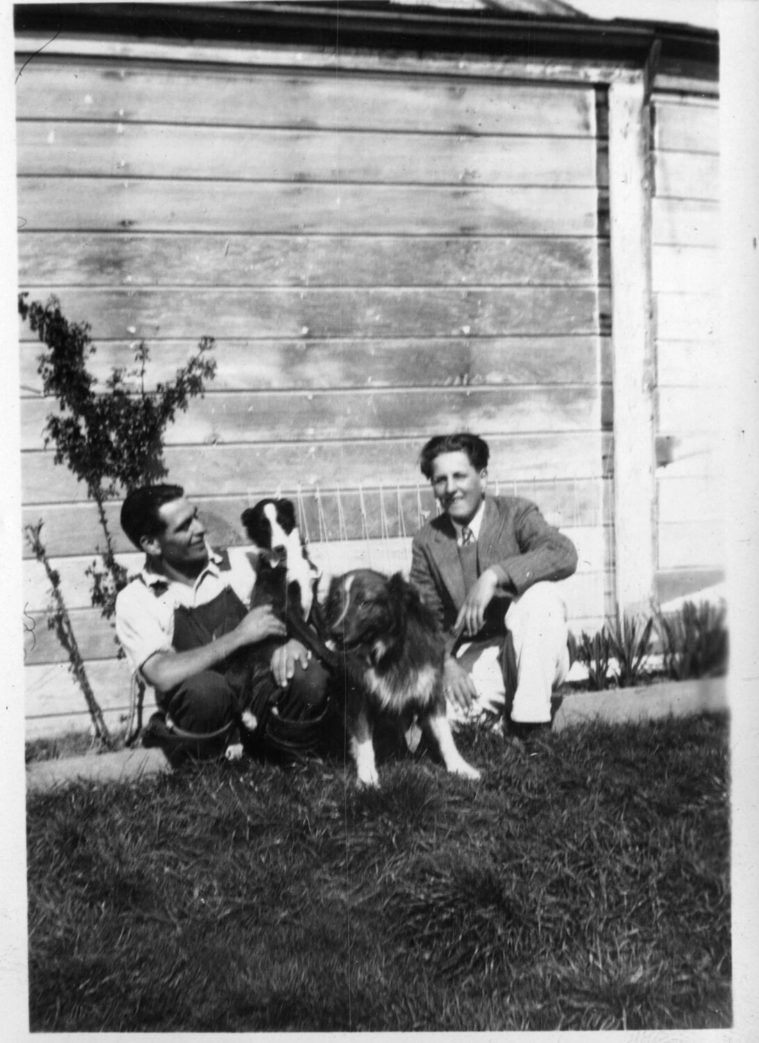 Two Men with Dogs Beside a Wooden Building, Presidio Album, c. 1930s