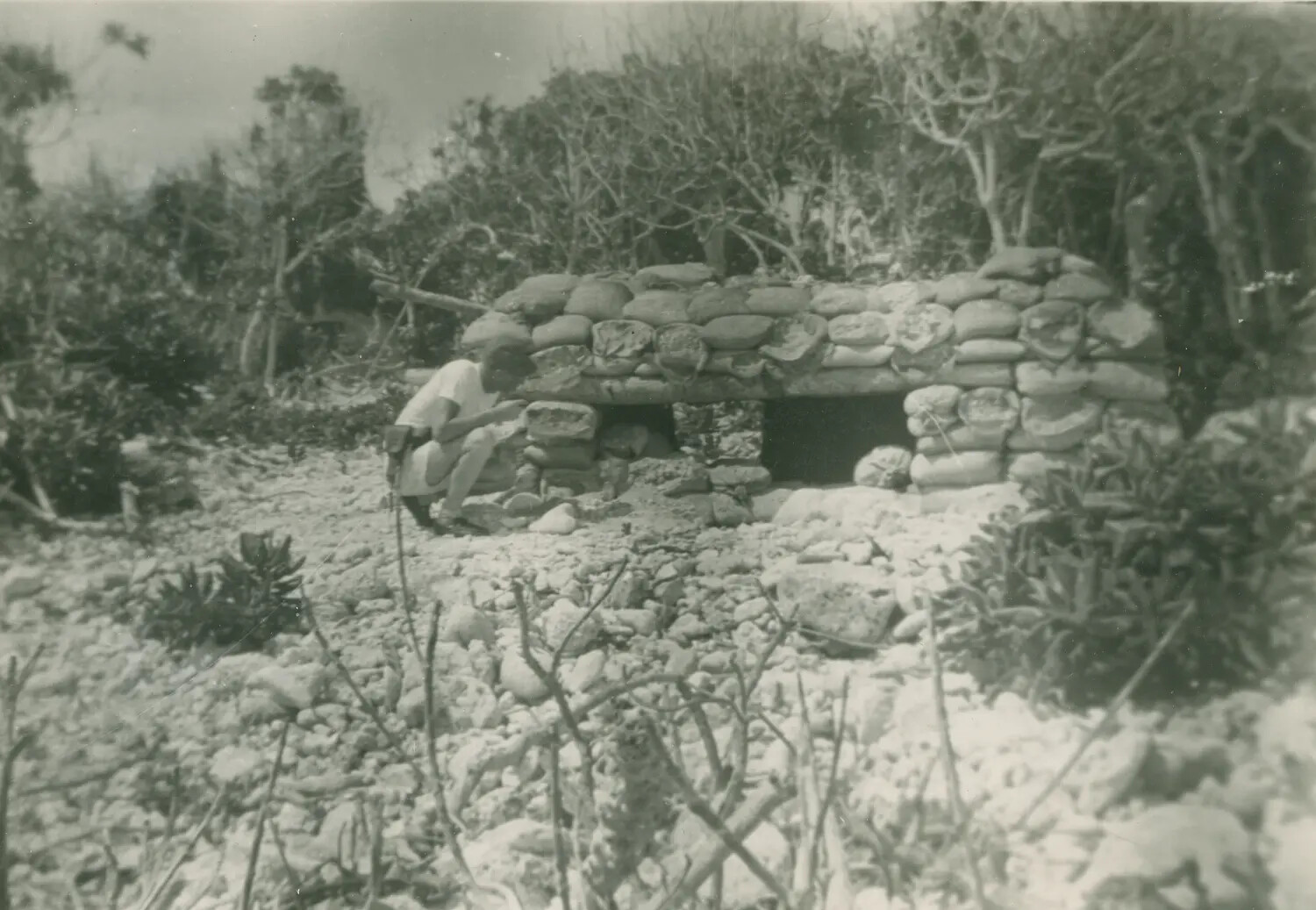 Serviceman Inspecting Sandbagged Bunker, Pacific Island, Edward P. McAleer WWII Collection