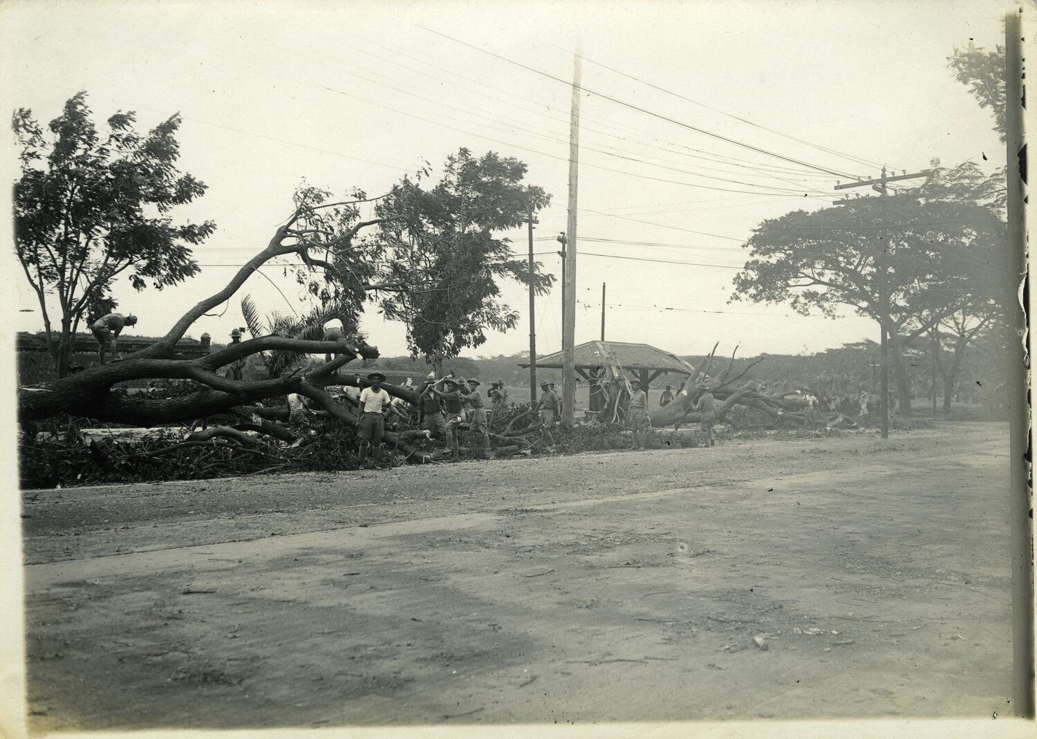 American Soldiers Clearing Typhoon Storm Damage, Philippines, Early 1900s