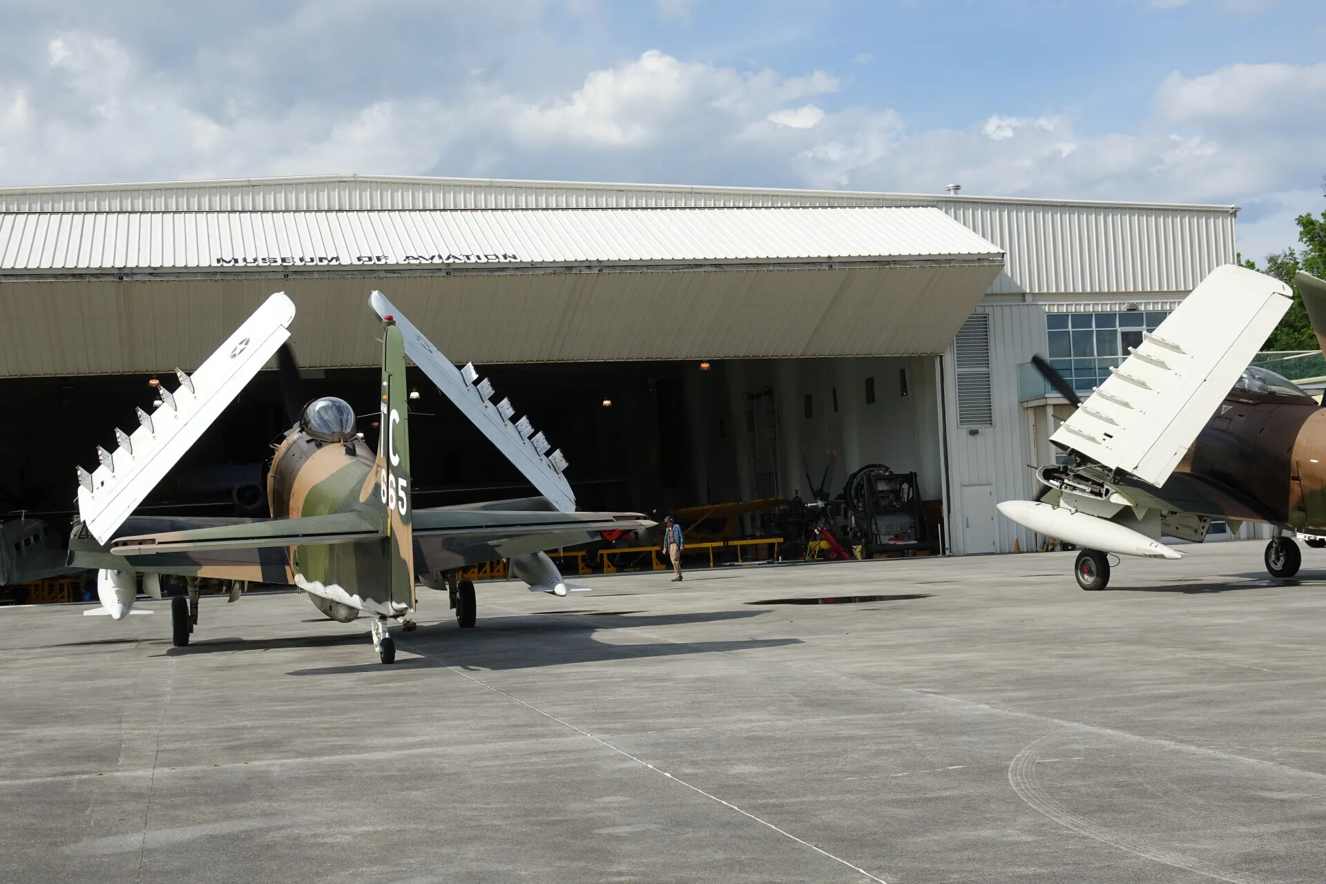 Restored A-1 Skyraiders with Folded Wings at Museum of Aviation Hangar