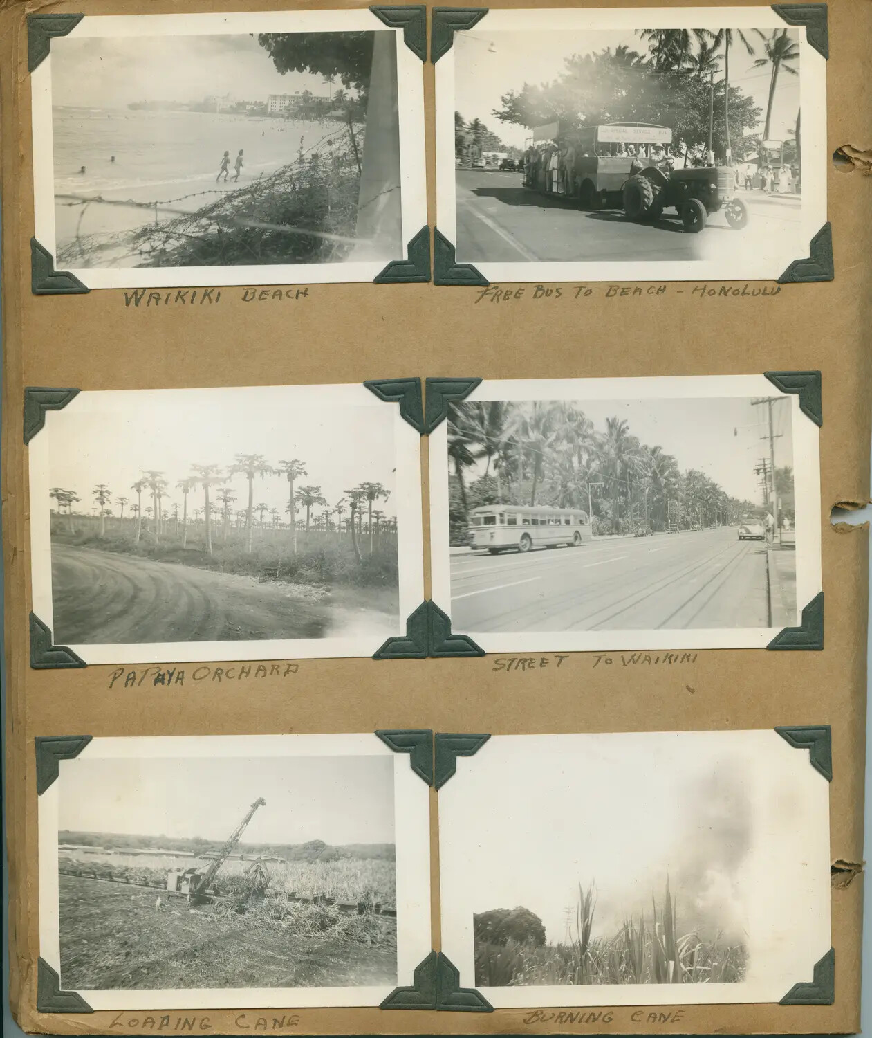 Album Page: Oahu, Hawaii Scenes Including Waikiki Beach Defenses and Sugar Cane Industry (WWII Era)