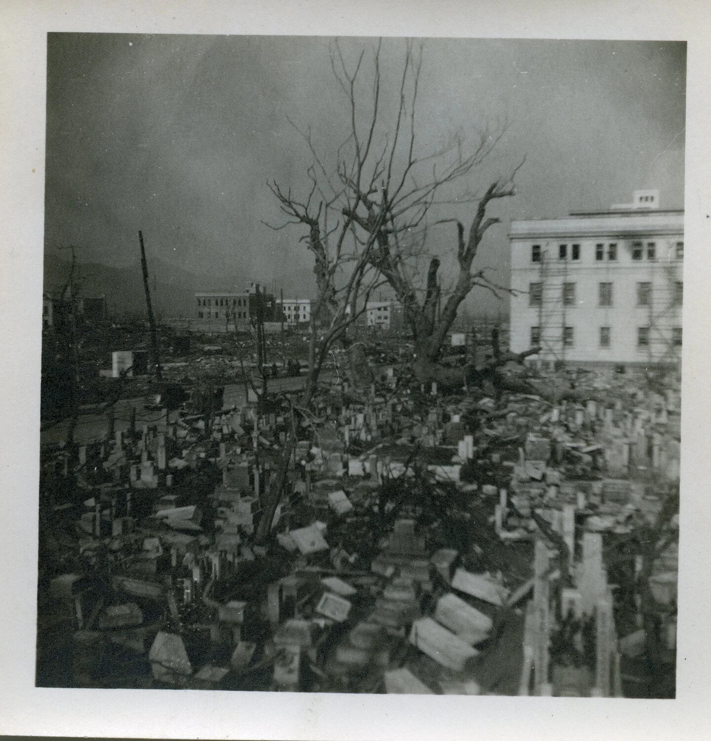 Devastated Cemetery with Stripped Tree and Surviving Building, Hiroshima