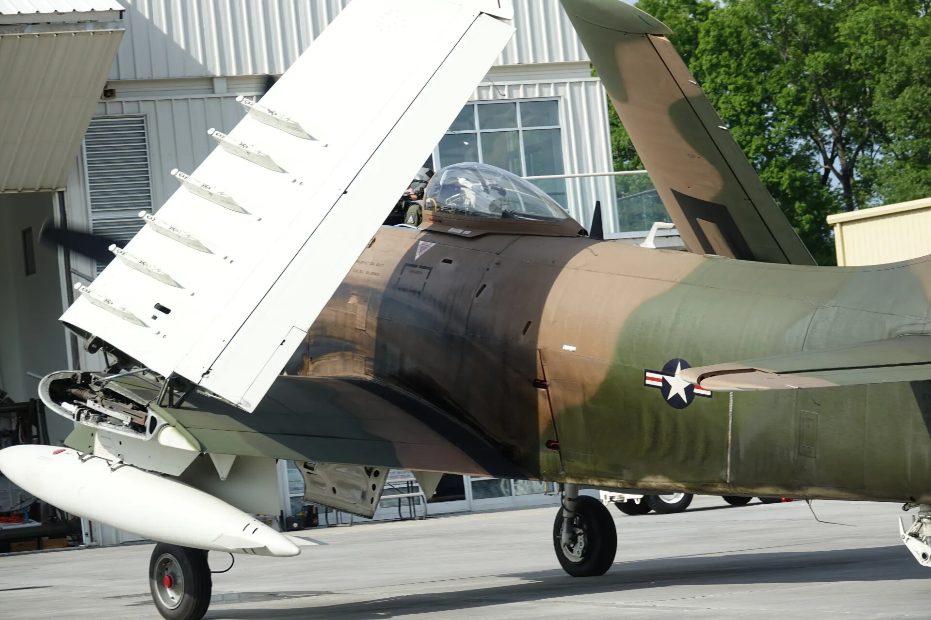 A-1 Skyraider with Folded Wing and Exposed 20mm Cannon, Warbird Event