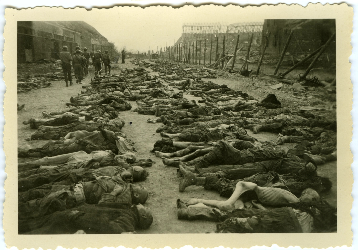 Rows of Victims' Remains at Buchenwald Concentration Camp Following Liberation, Germany, April 1945