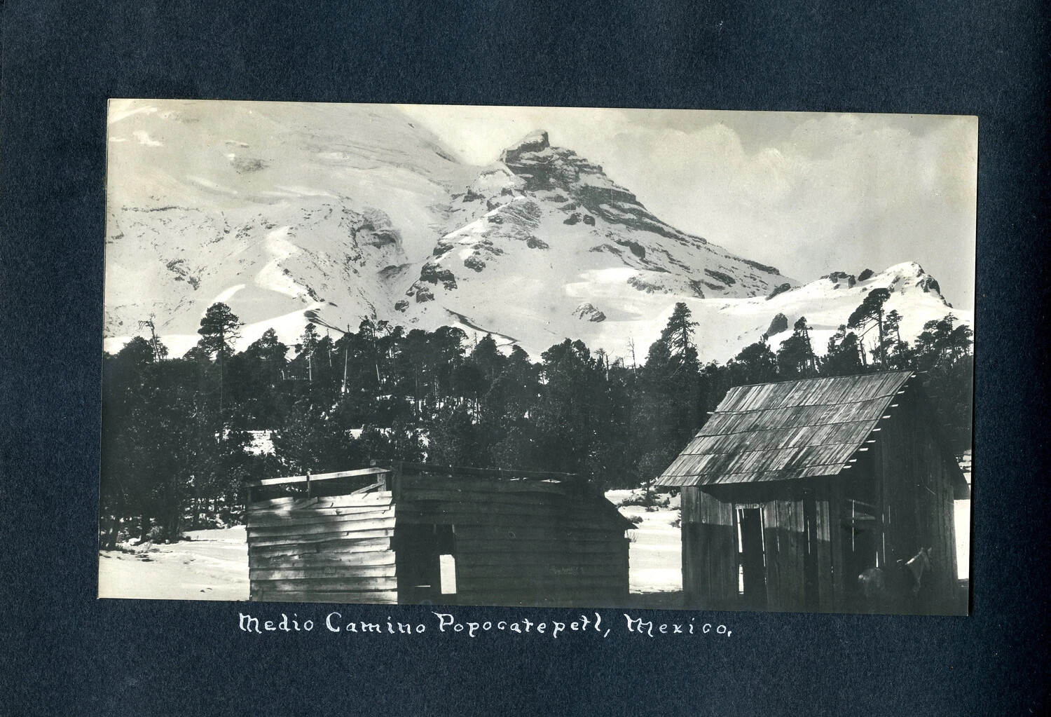 'Medio Camino Popocatepetl, Mexico' -- Souvenir Mountain Photograph, USS Columbia Album, c. 1904-1905