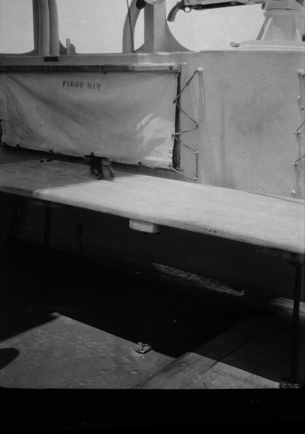 Ship's Mess Deck with 'First Division' Canvas Cover and Kitten, US Navy, China Station, 1930s