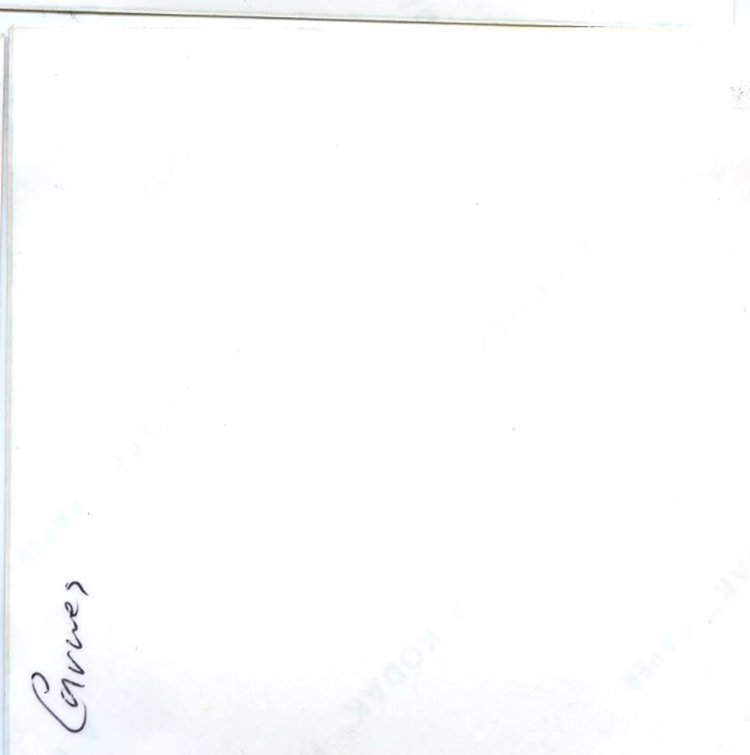 Handwritten Caption Card, 'Canines' — Vietnam Album, 1971