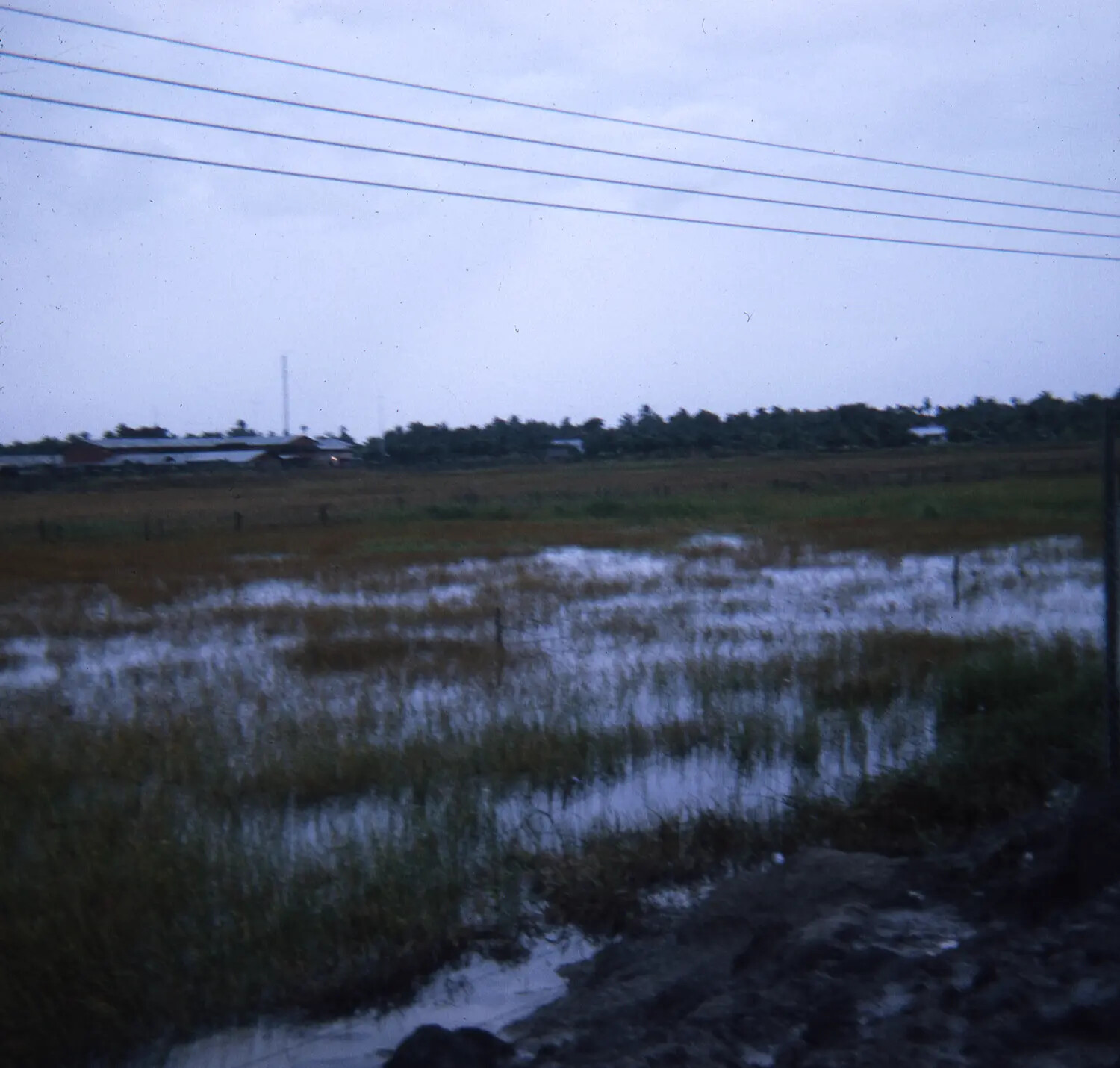 Flooded Rice Paddy Landscape at Dusk, Vietnam War Era — 35mm Color Slide