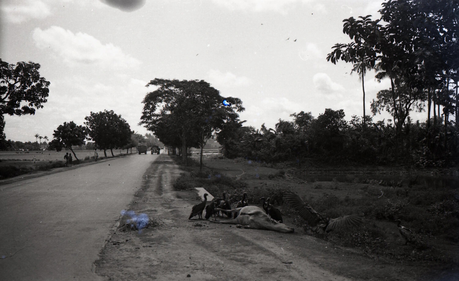 Military Supply Trucks on a Rural Road with Vultures at Roadside, CBI Theater, WWII