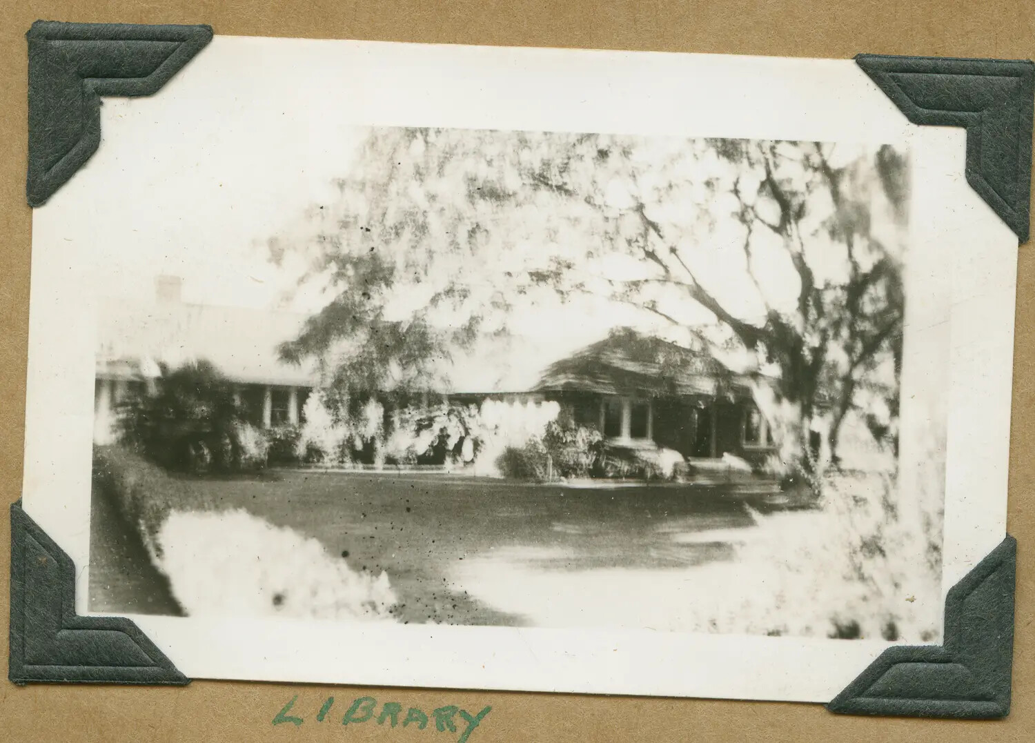 Bungalow-Style Library Building Under Tree Canopy, Hawaii Photo Album