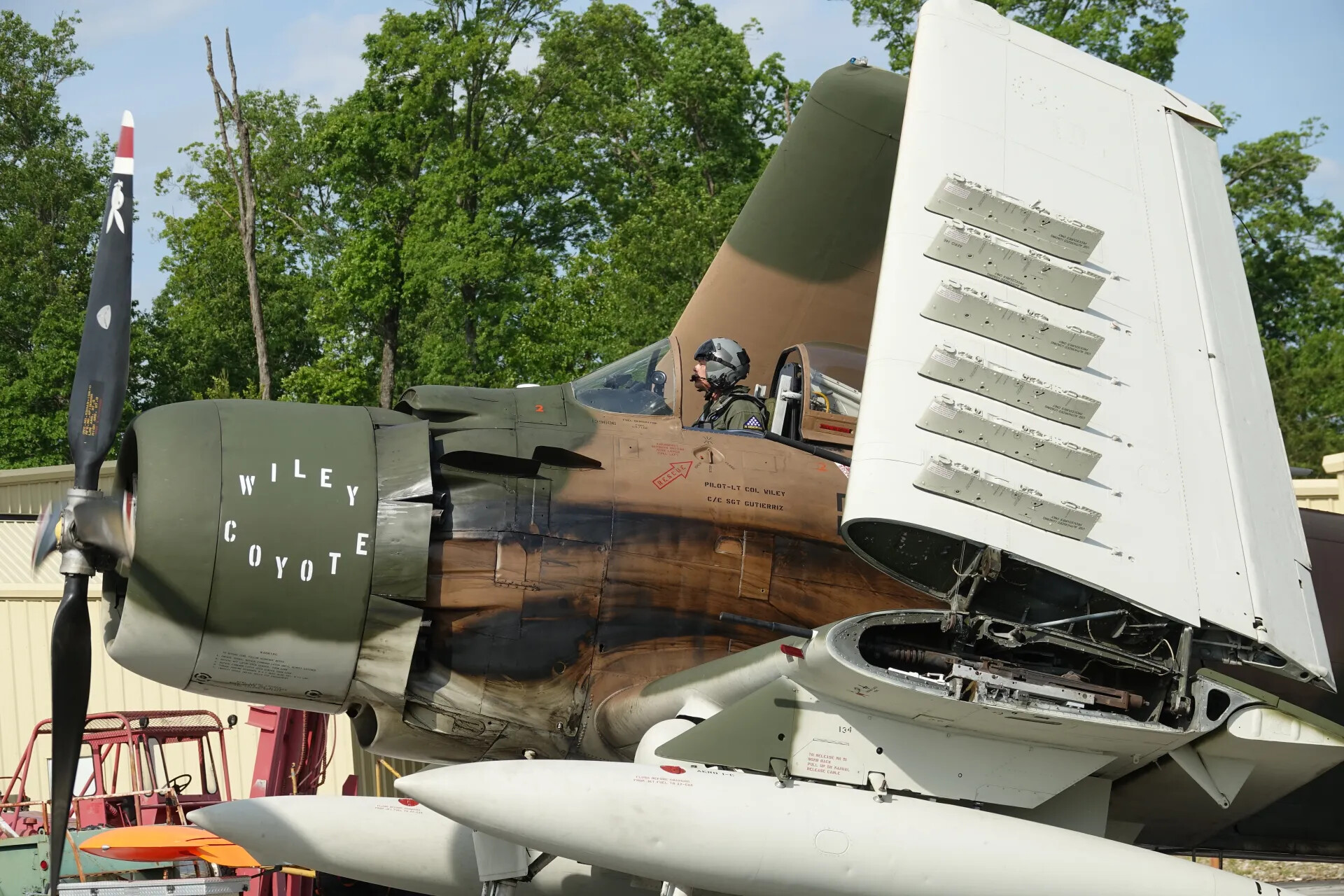 A-1 Skyraider "Wiley Coyote" with Folded Wing and Cockpit Detail, Museum/Air Show Display, May 2019