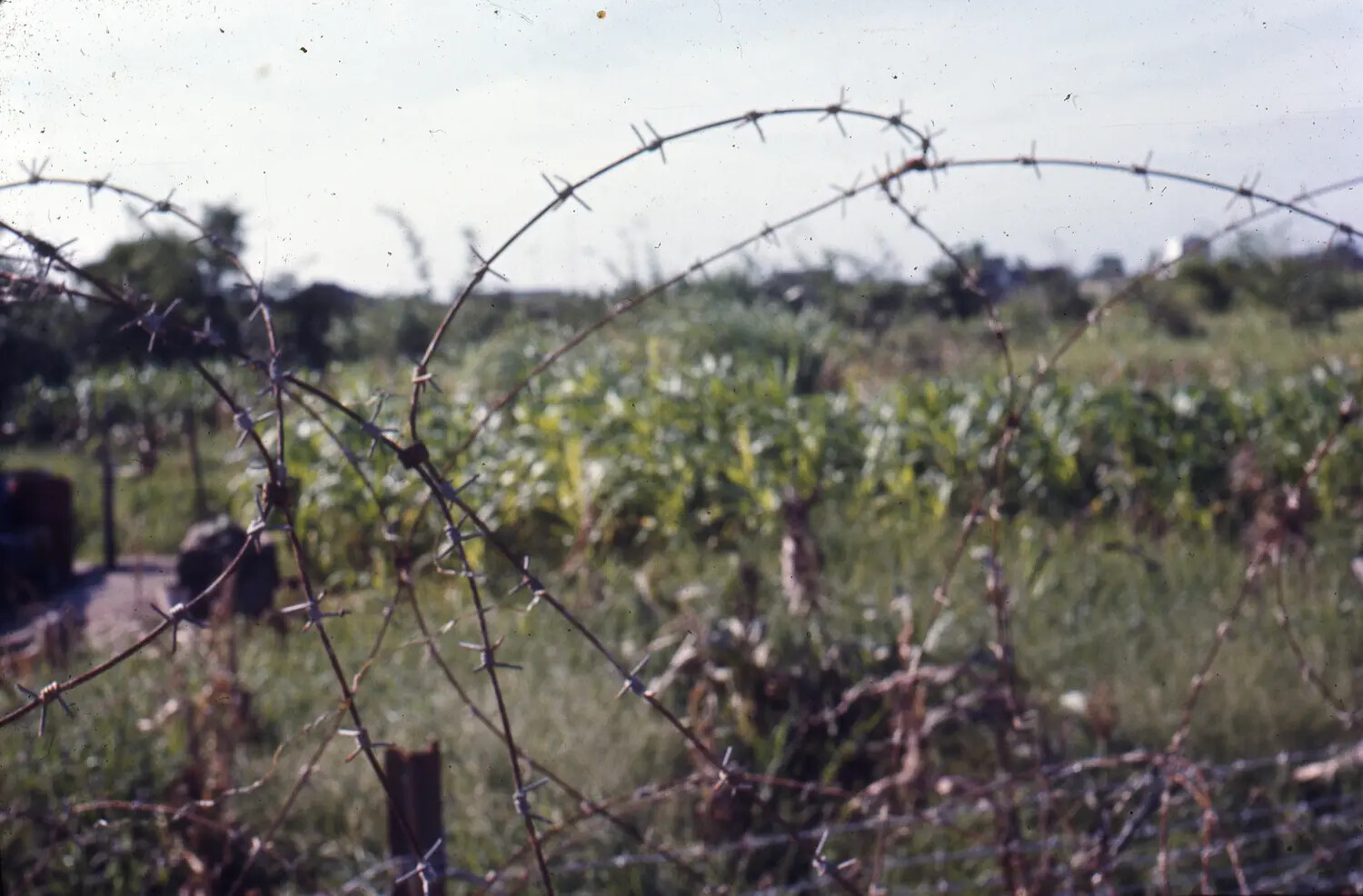 Barbed Wire Perimeter Fence with Field and Vehicle, Vietnam War Era (35mm Color Slide)