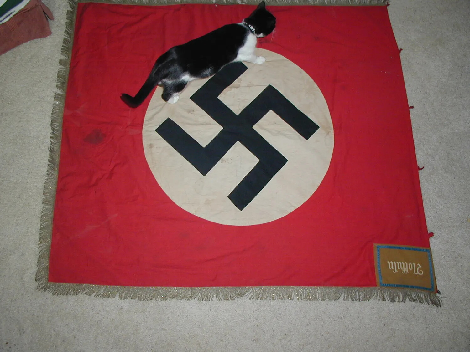 WWII-Era German NSDAP Party Flag with Domestic Cat, Collection Photograph