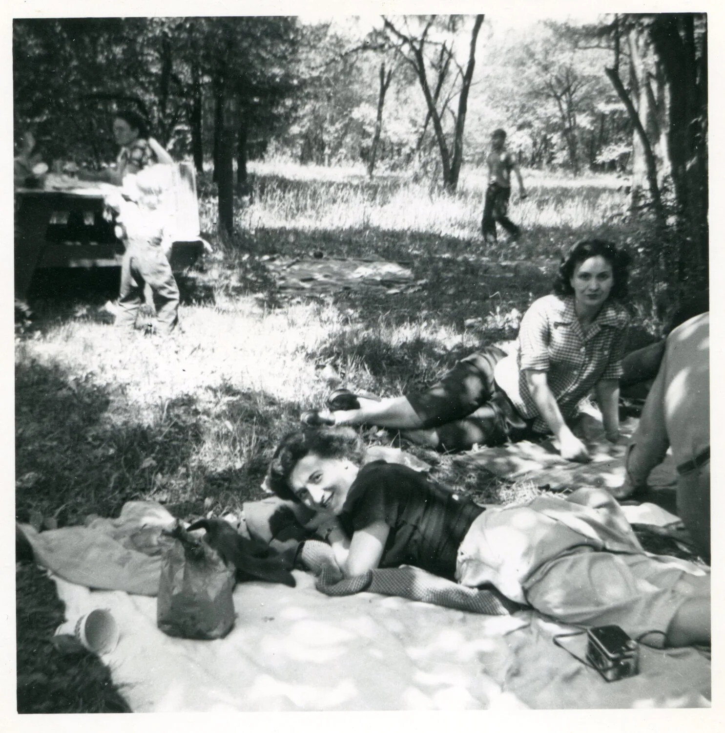 Picnic in the Woods, Family Snapshot
