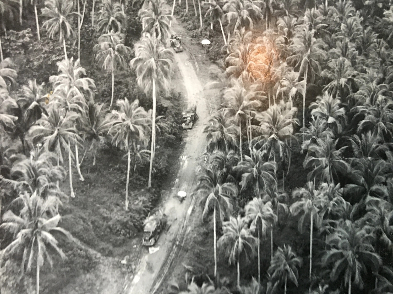 Aerial Strafing Attack on Vehicle Convoy in Coconut Plantation, Philippines - 312th Bomb Group