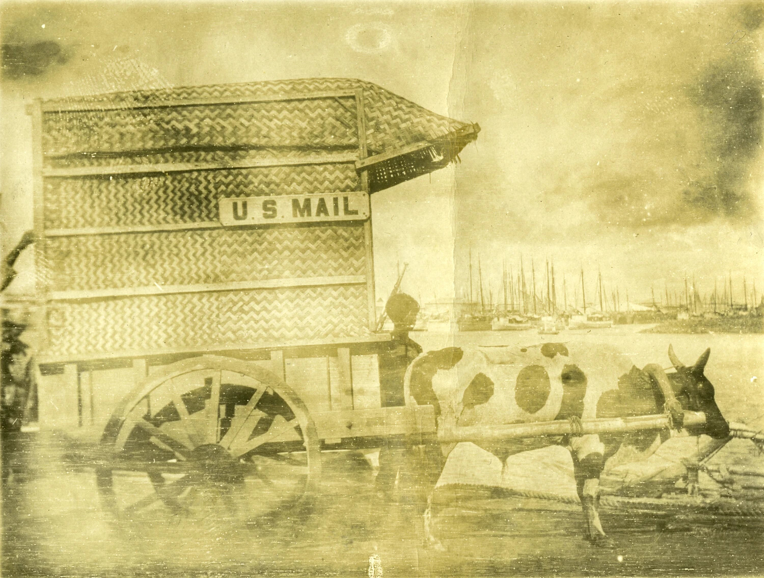 Carabao-Drawn 'U.S. Mail' Cart, Philippines, Carl Stone Album, Early 1900s