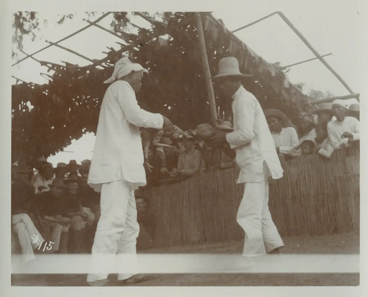 Cockfight Handlers Presenting Gamecocks in Arena, Philippines, c. 1890s