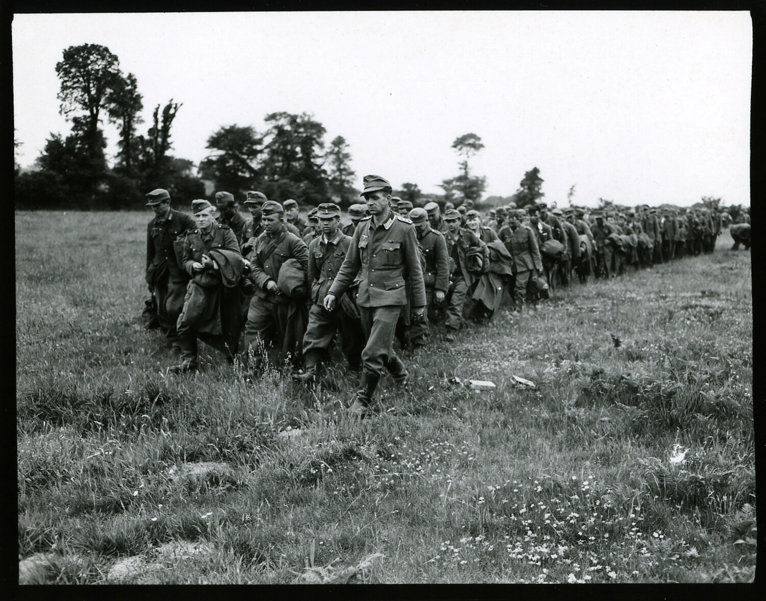 Column of German Prisoners of War Marching Through a Field, Normandy, France, 1944