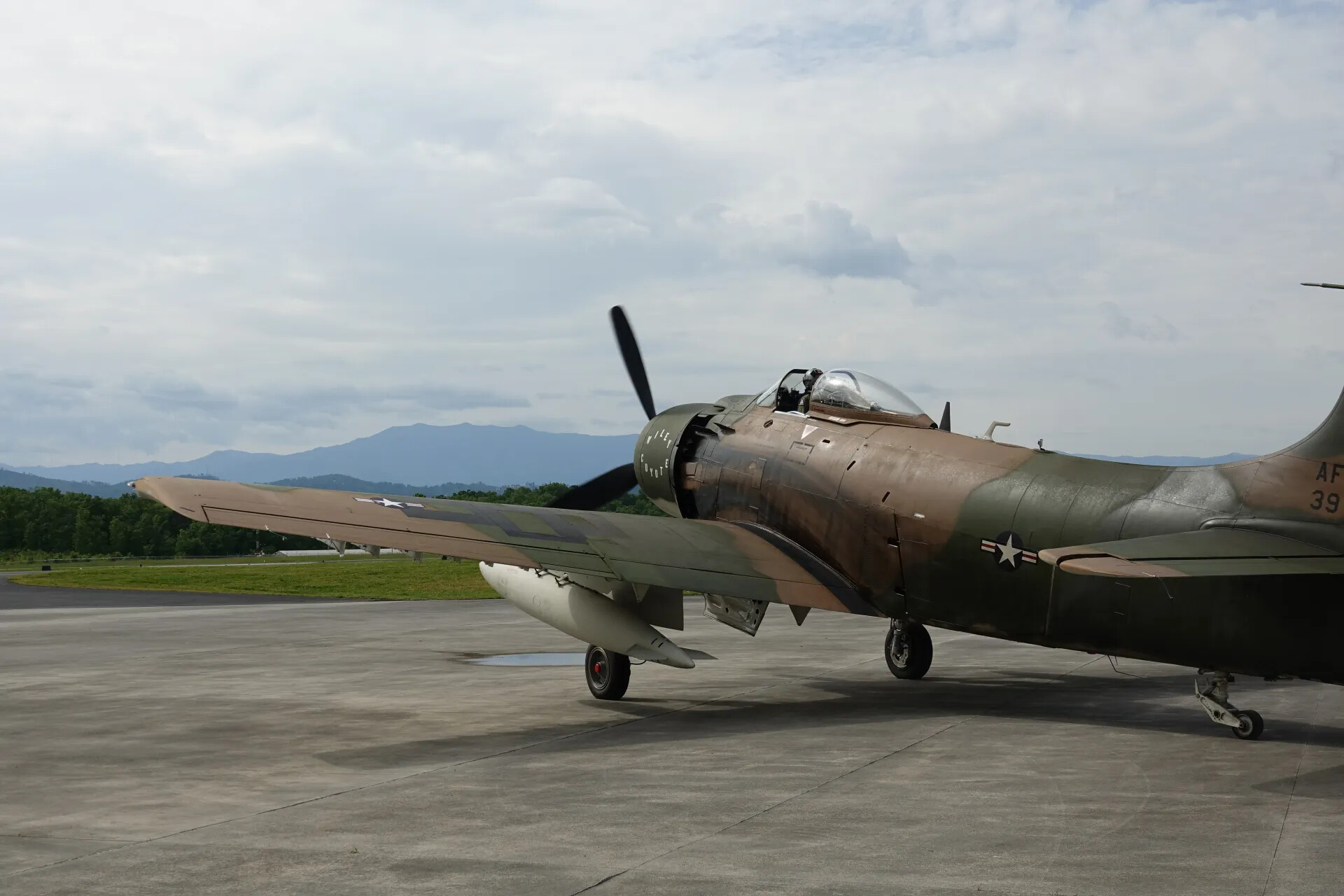 Restored Douglas A-1 Skyraider on Airfield Ramp, 2019 Event