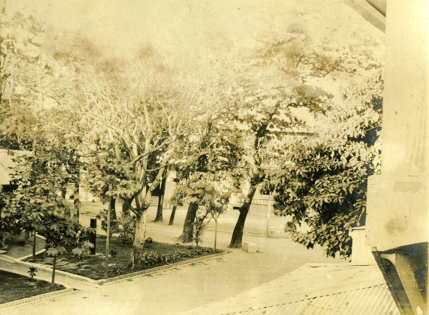 Tree-Lined Street Viewed from Veranda, Philippines, Early 1900s