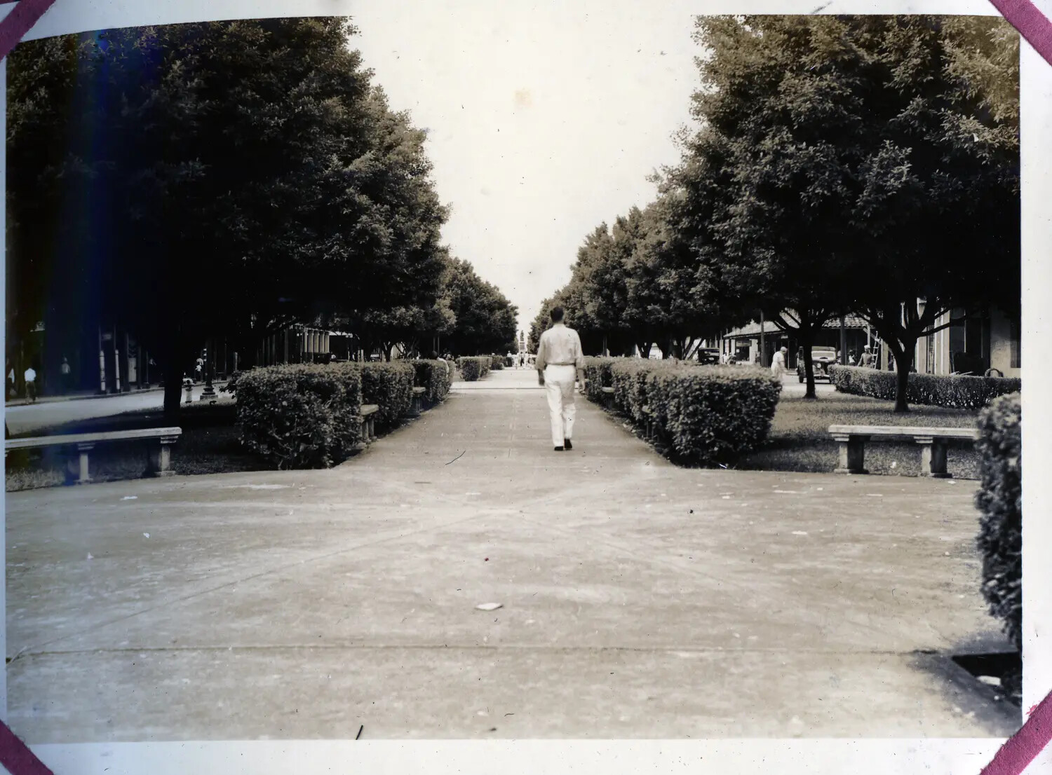 Tree-Lined Promenade, Panama Canal Zone, WWII Era